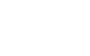 Veritas Prime Digital Wallet logo